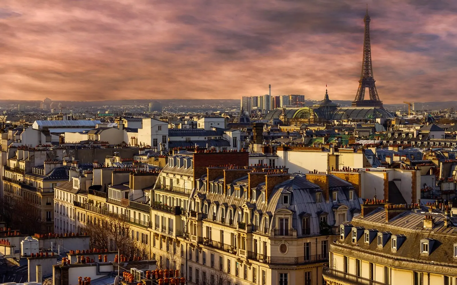 Paris, eiffel tower and nature