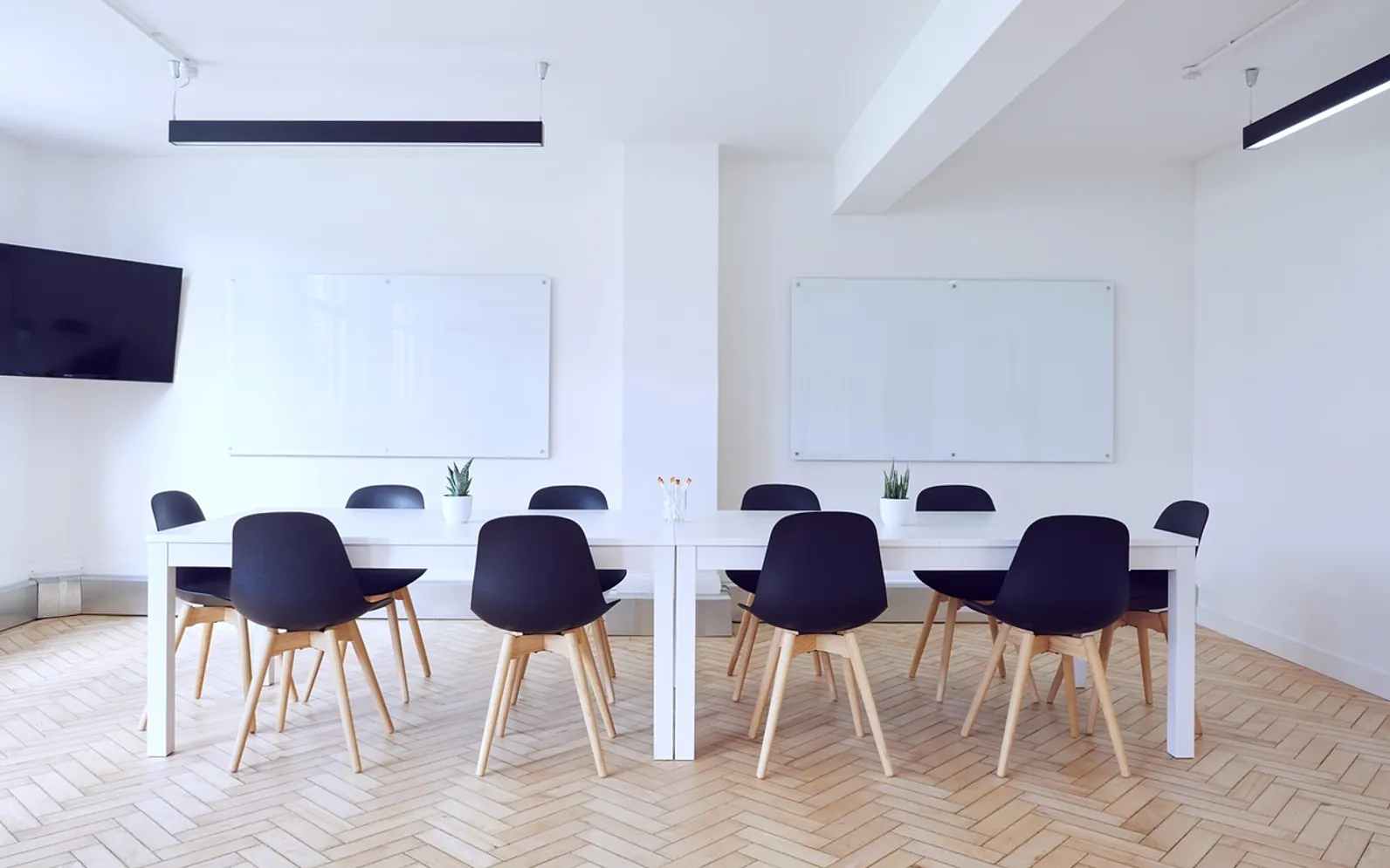 Chairs, conference room and contemporary