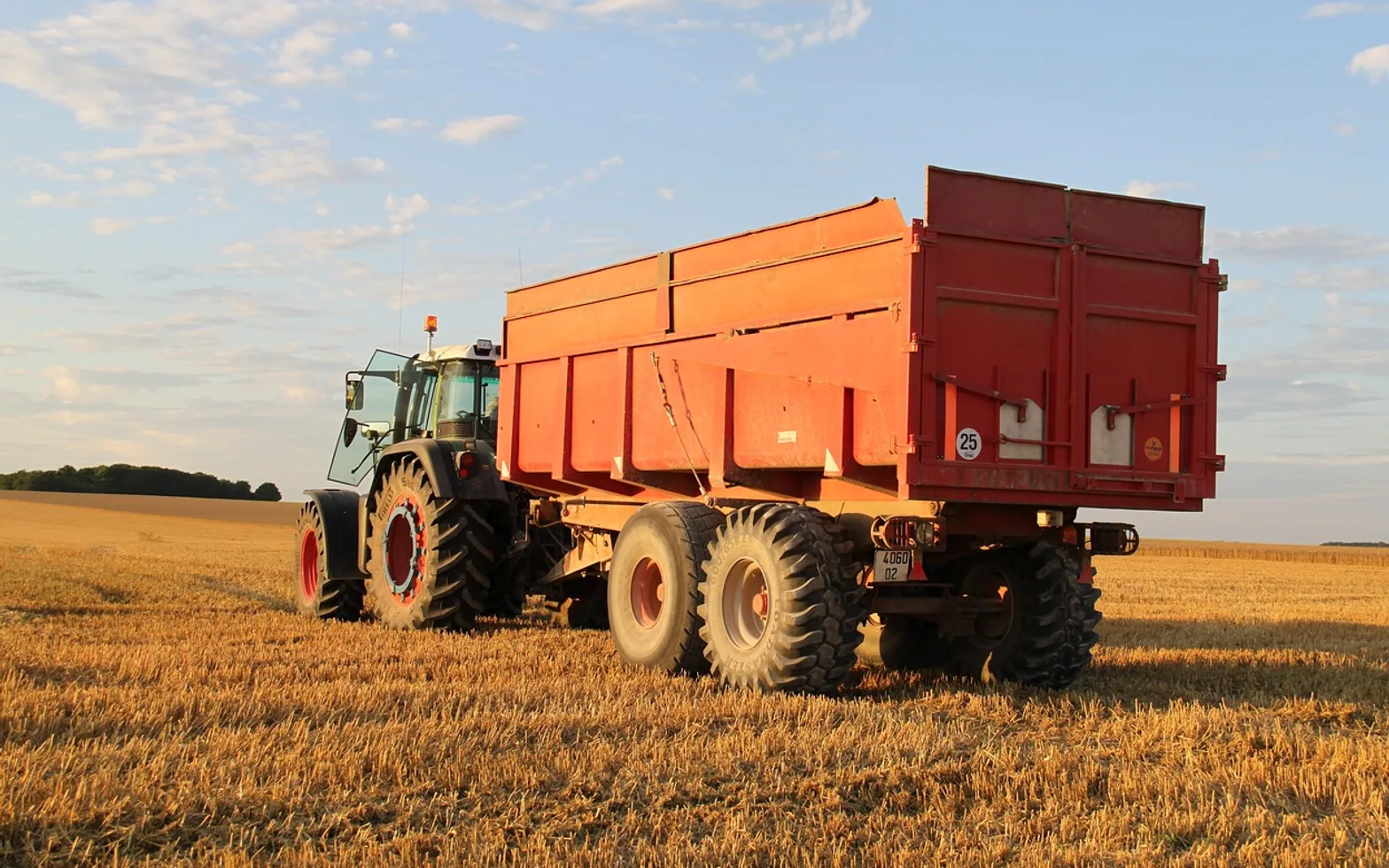 Fields, wheat and harvest
