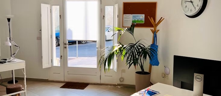 Bright, tidy office workspace with a desk and indoor plants