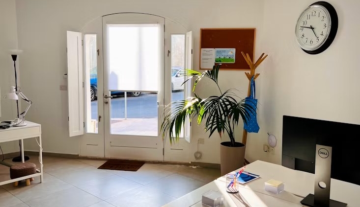 Bright, tidy office workspace with a desk and indoor plants